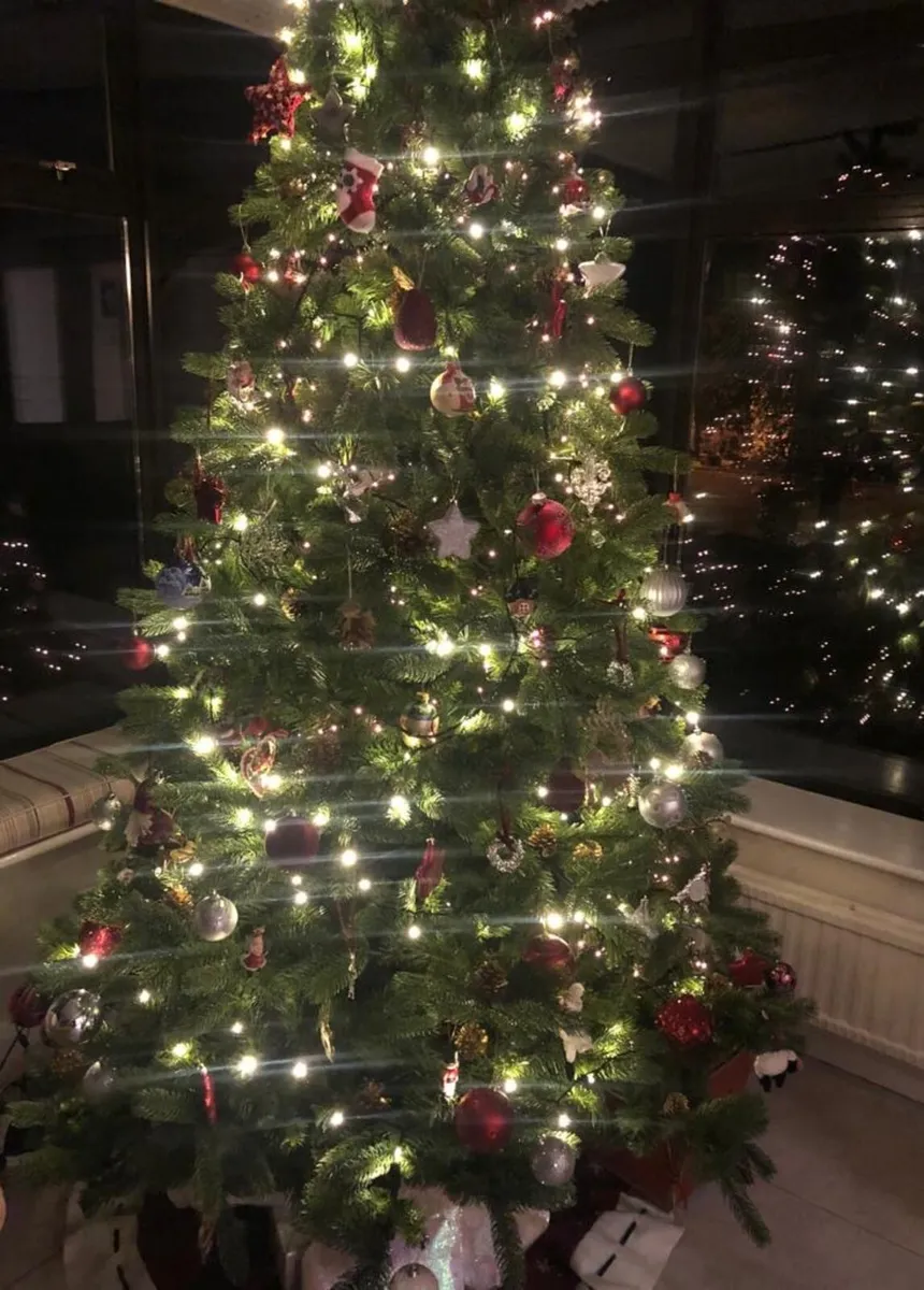 Christmas tree - Image 2