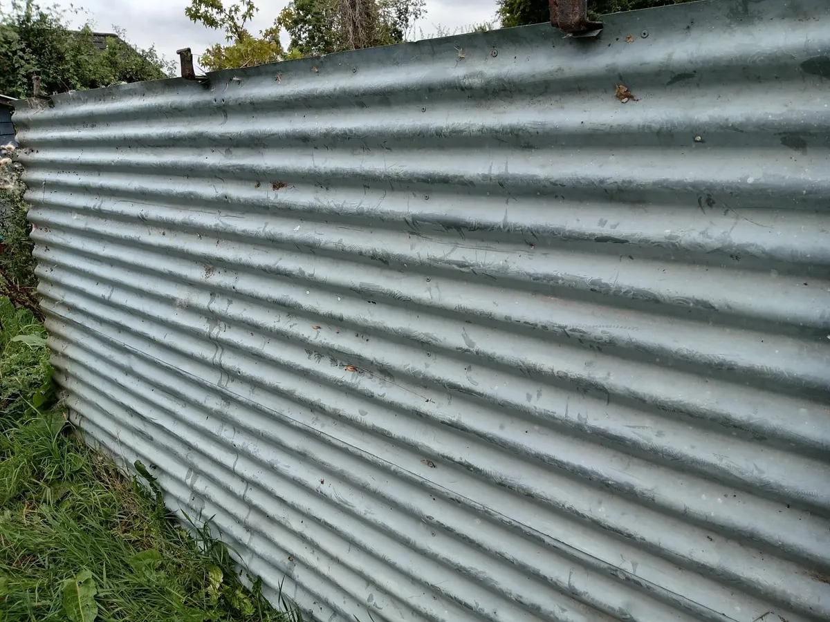 shed doors - Image 2