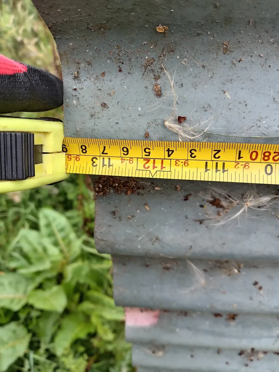 shed doors - Image 4