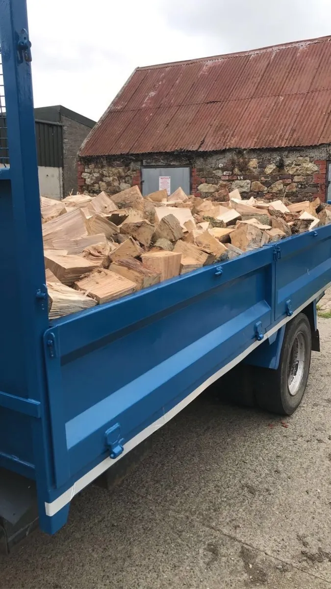 Firewood - Image 1
