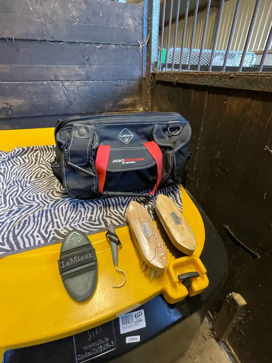 Used Equine grooming kit - Image 2