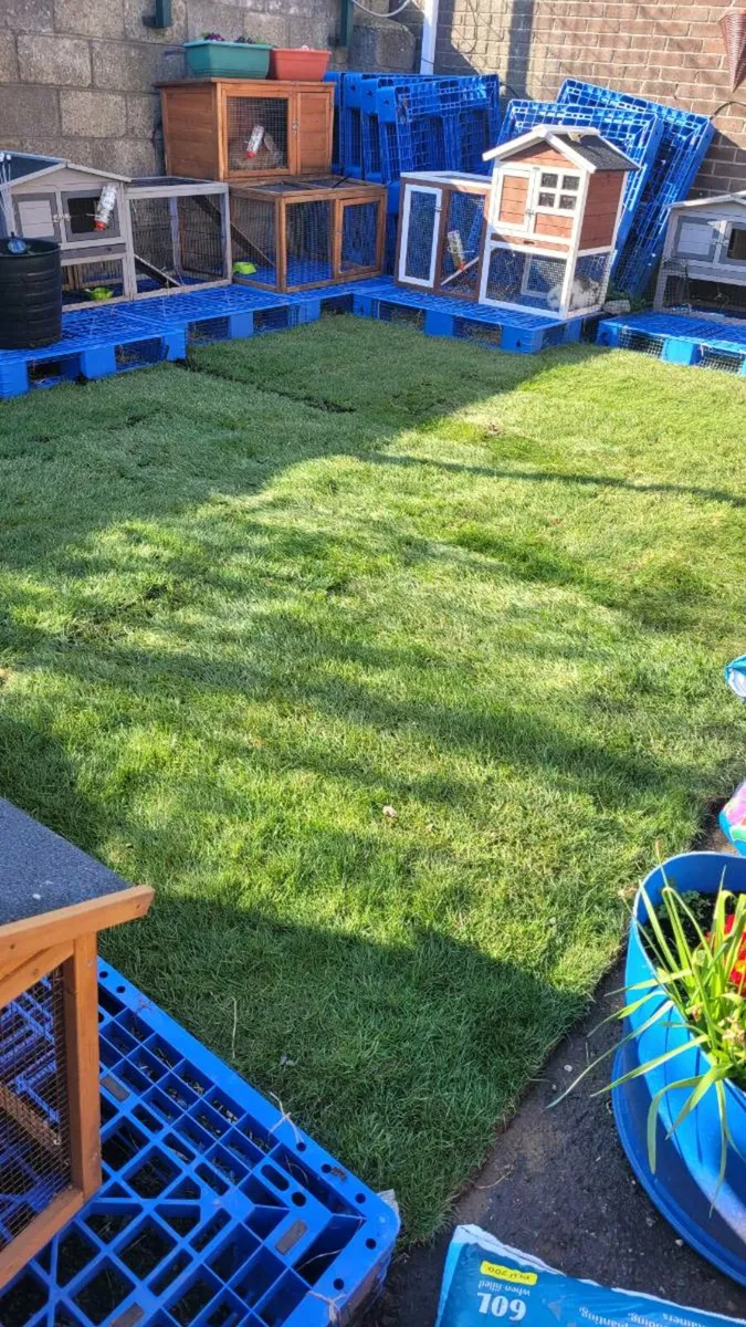 Rabbit hutches - Image 1