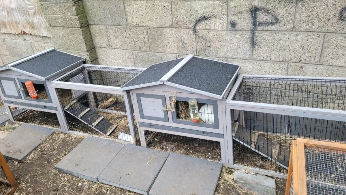 Rabbit hutches - Image 3