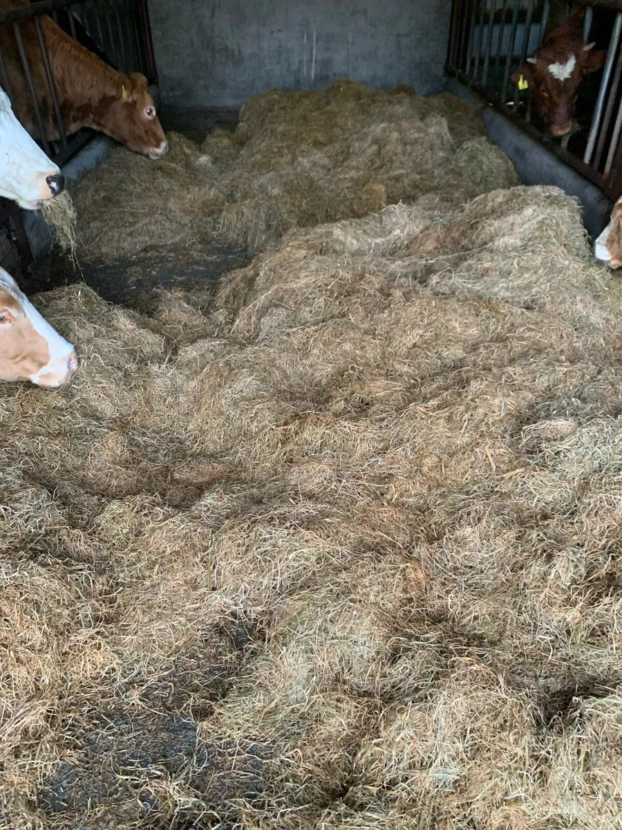 Bales of silage - Image 3