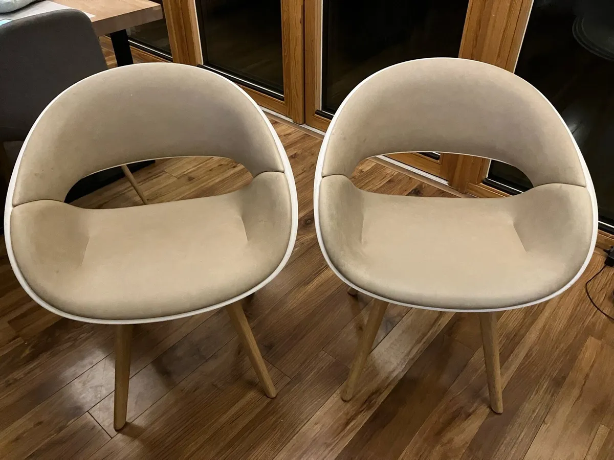 Dining Chairs - Image 1