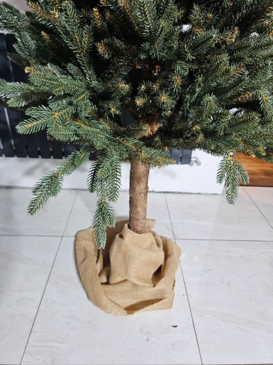 Siberian spruce on trunk - Image 1