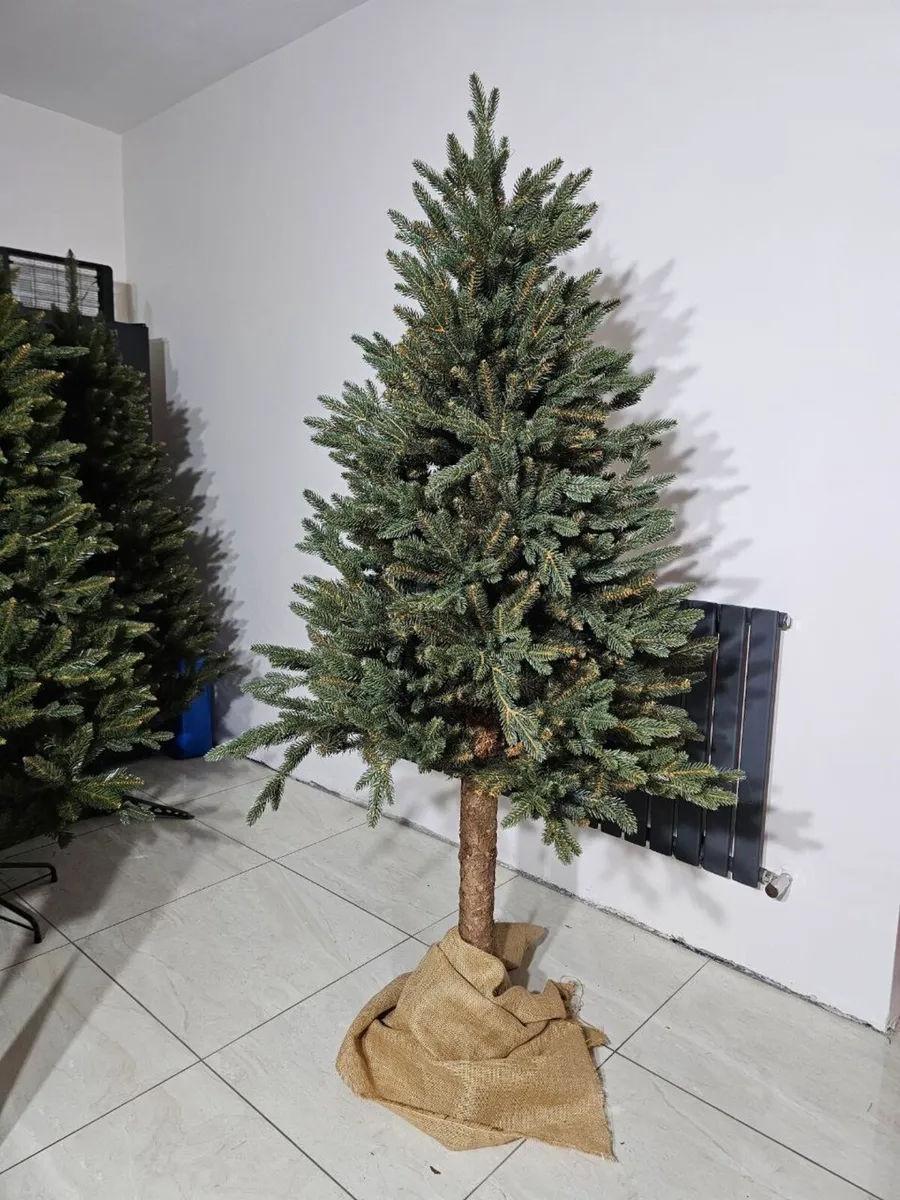 Siberian spruce on trunk - Image 2