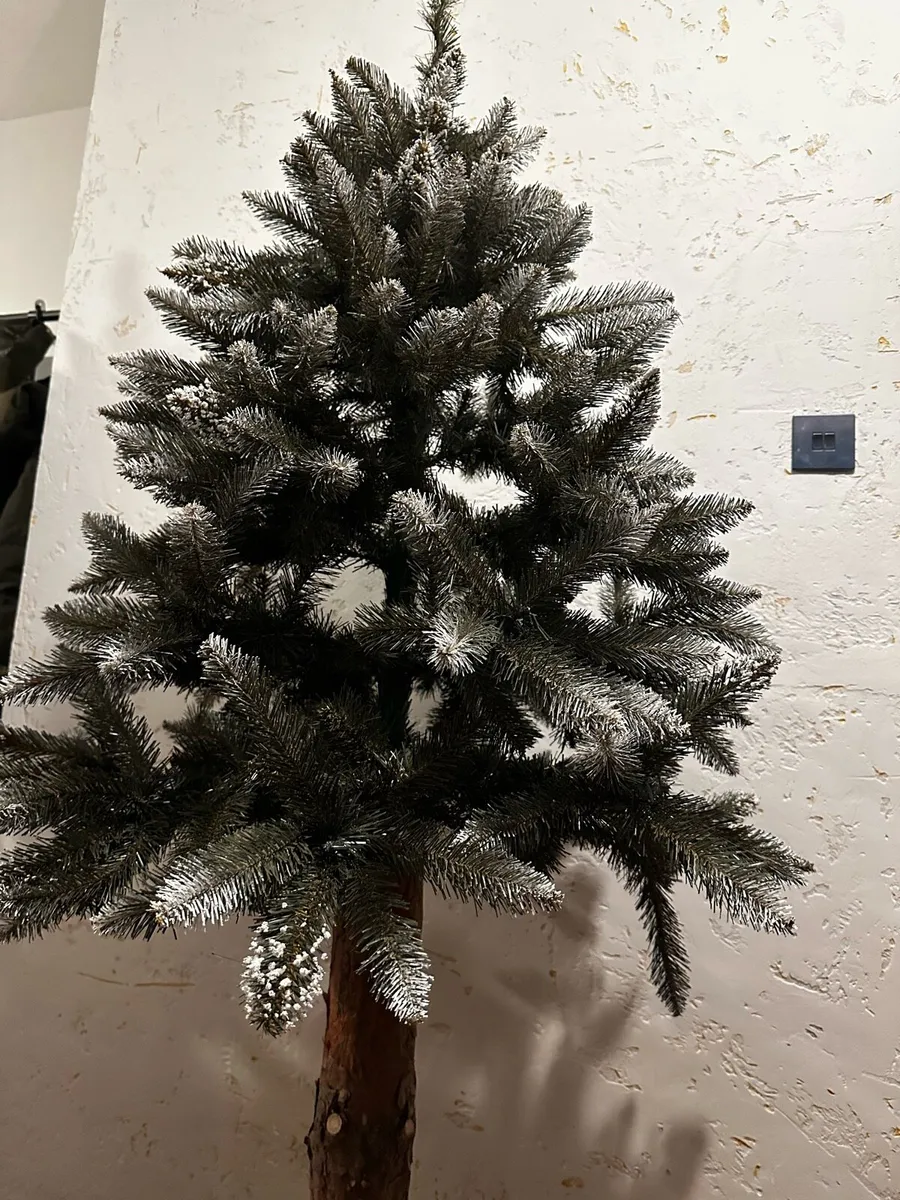 Dimond spruce on trunk PVC - Image 4