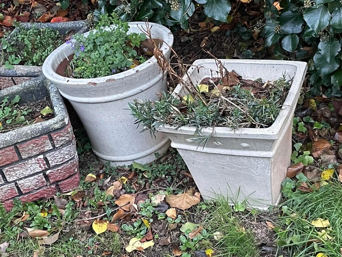 Flower Pots x2 ceramic