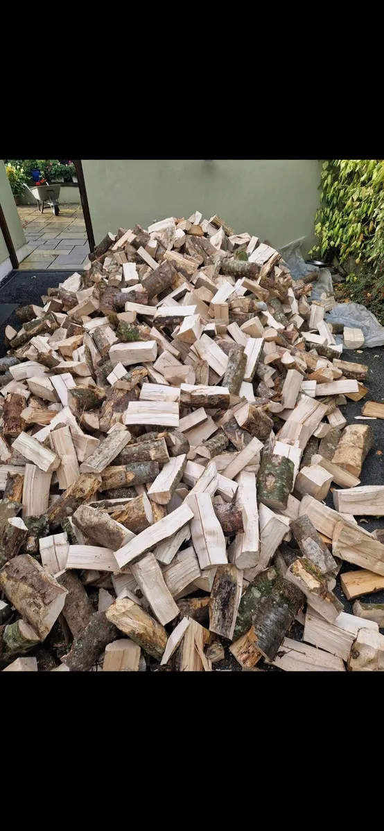FIREWOOD - Image 3