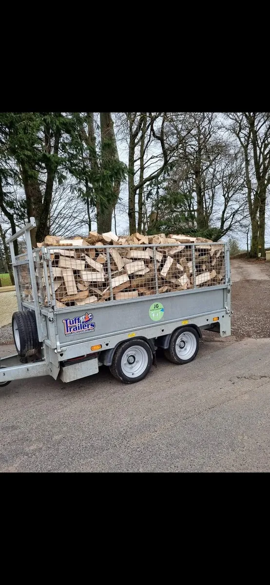 FIREWOOD - Image 4