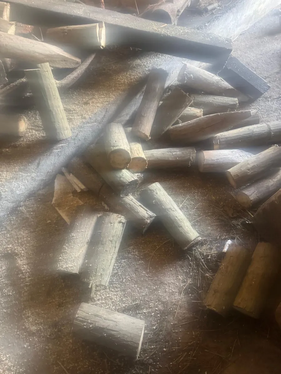 🪵🔥Fire wood🔥🪵 - Image 2