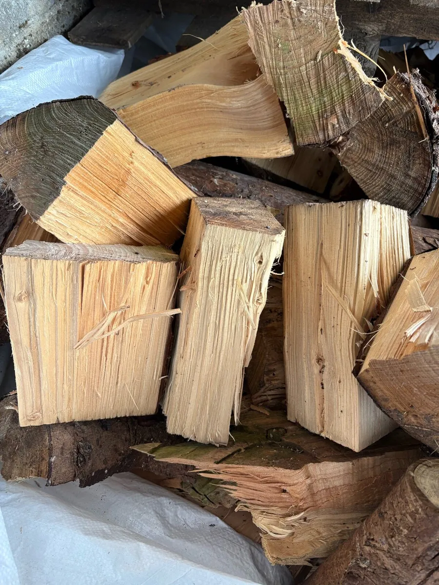 FIREWOOD - Image 1