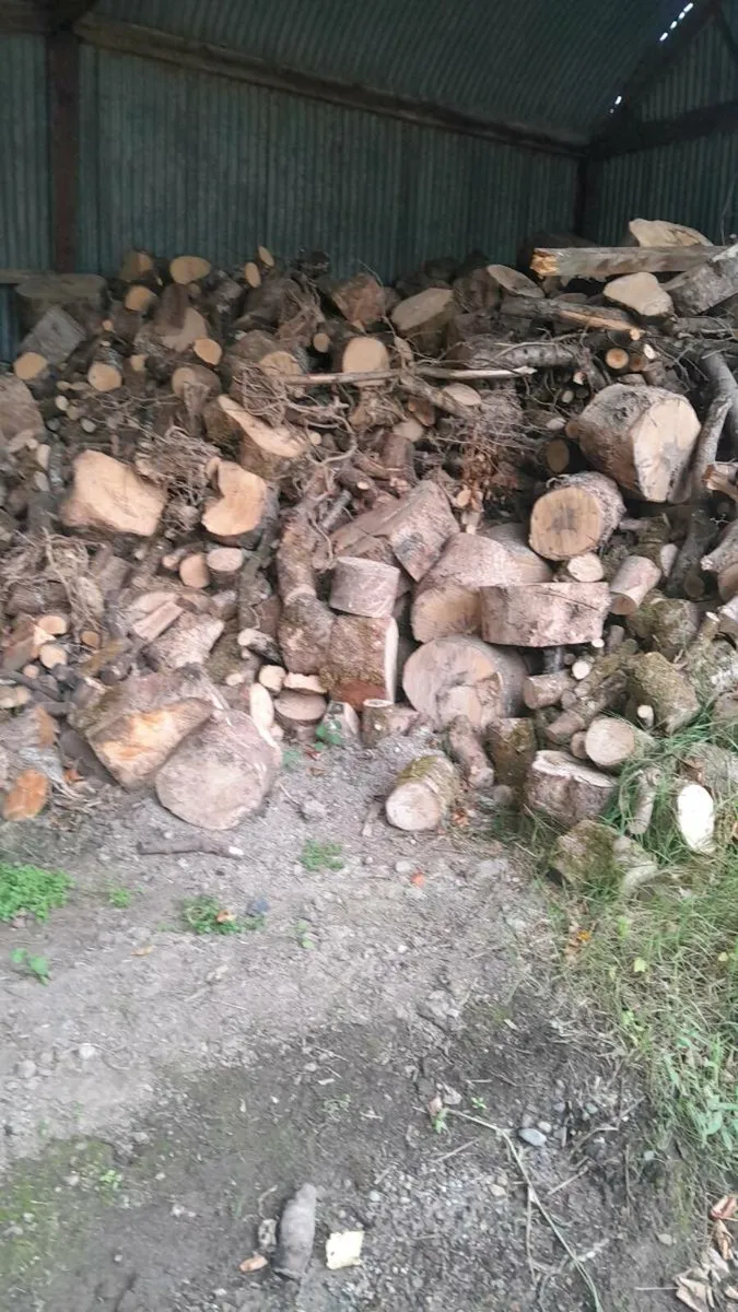 Firewood - Image 2