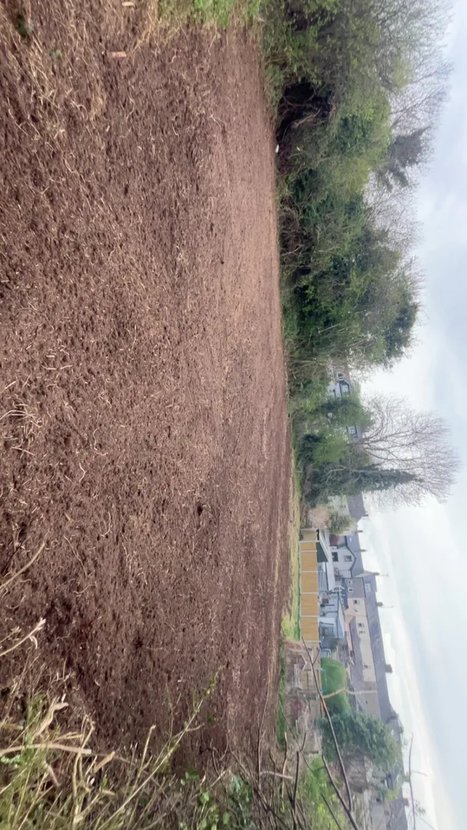 Property maintenance/Digger hire - Image 3