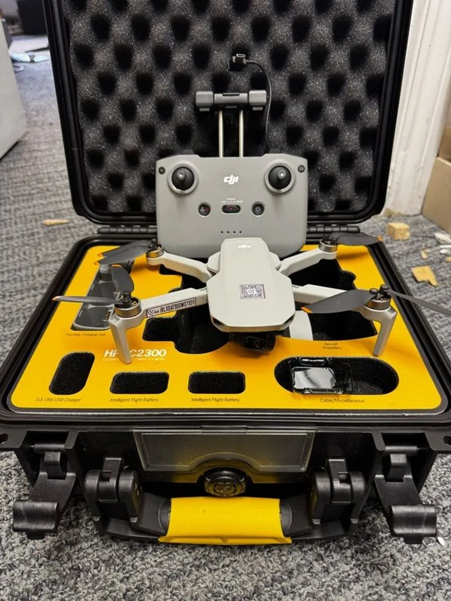 Dji Mini 2 - Image 2