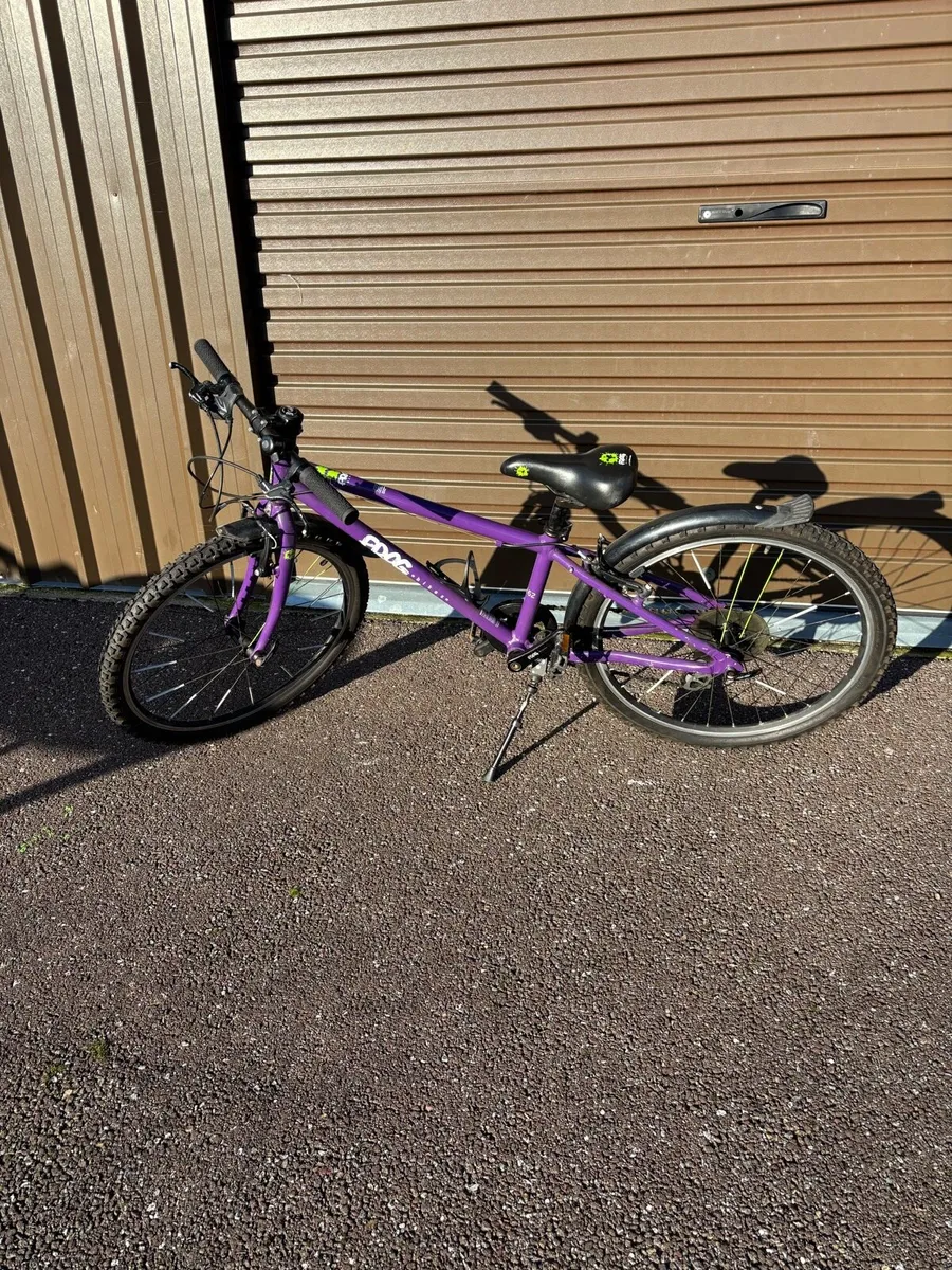 Kids Frog Bike - Image 1