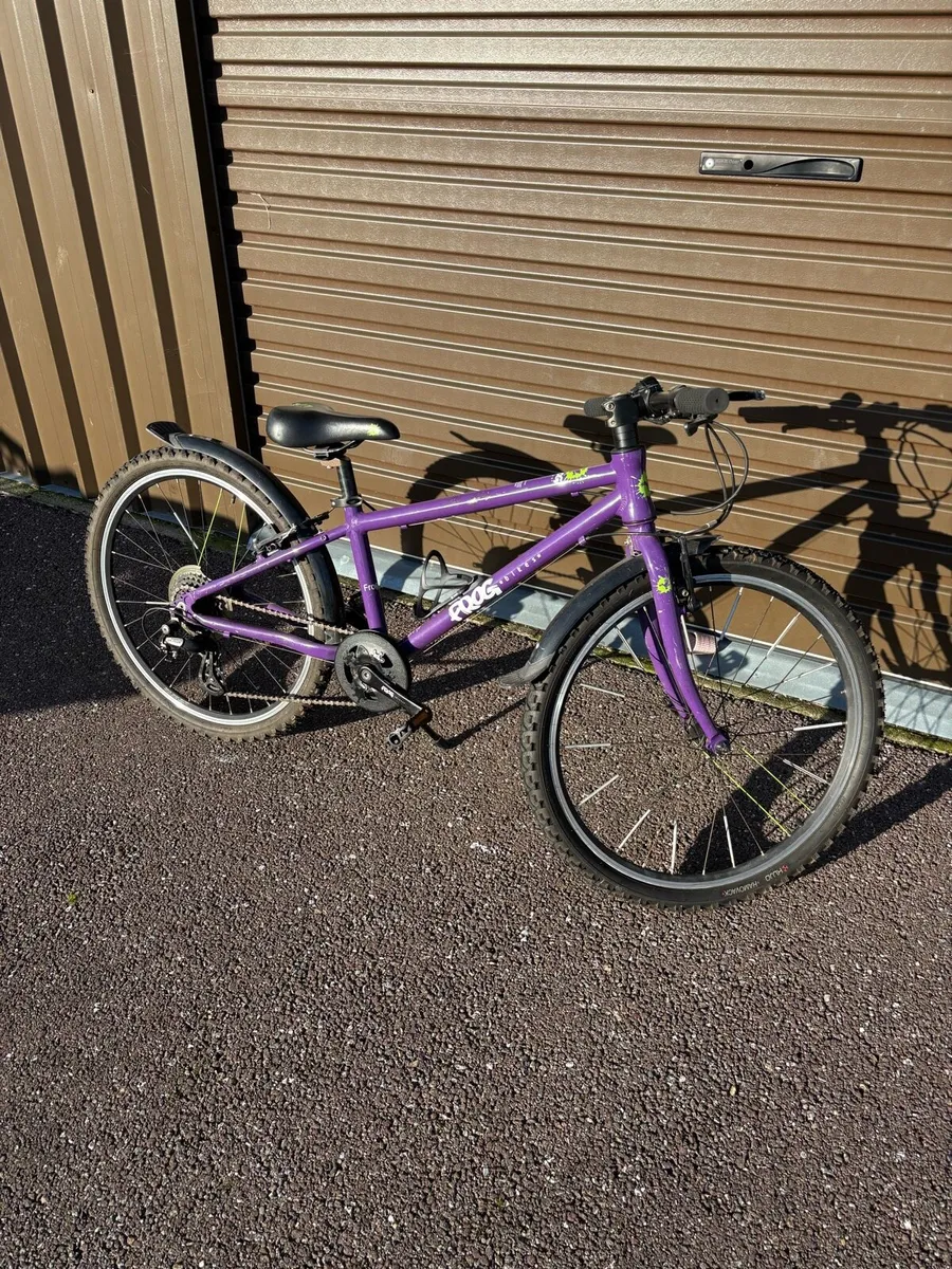 Kids Frog Bike - Image 2