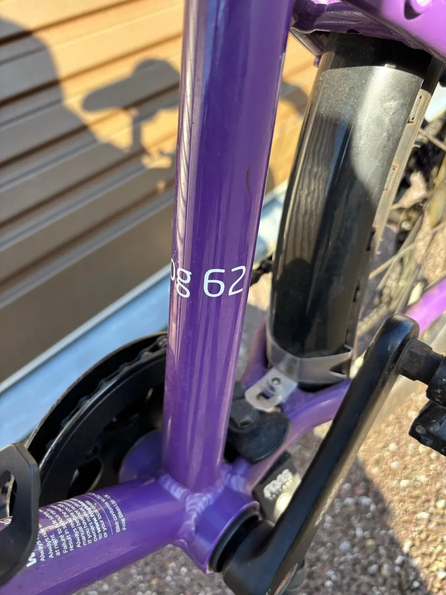 Kids Frog Bike - Image 3