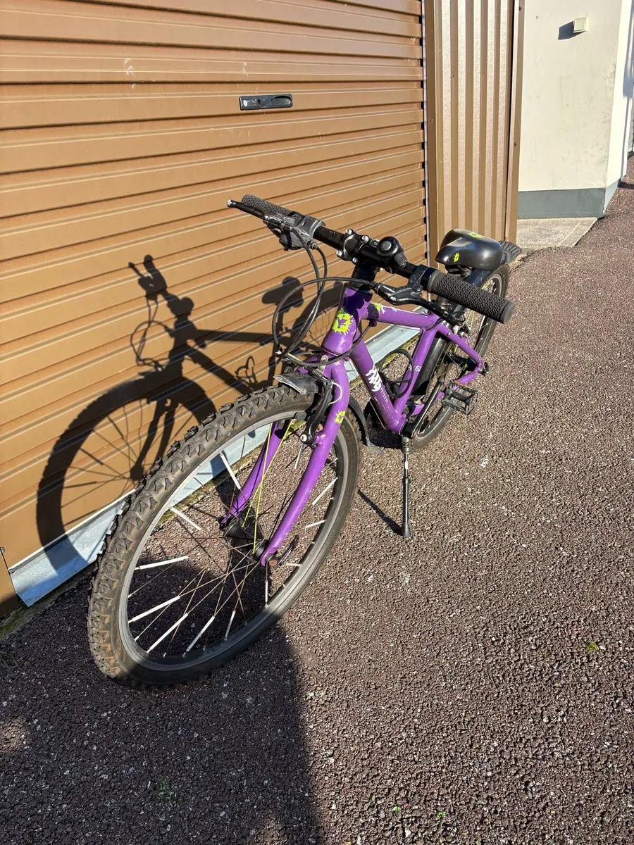 Kids Frog Bike - Image 4