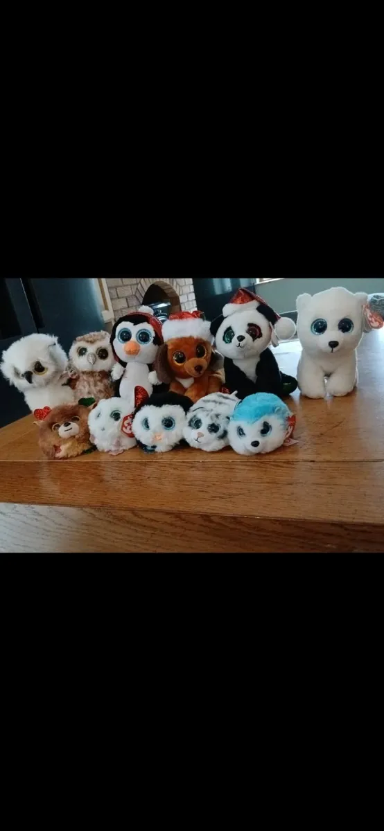 Ty teddies - Image 1