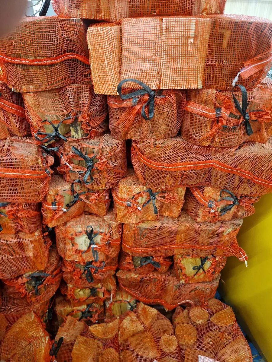 Logs and coal - Image 1