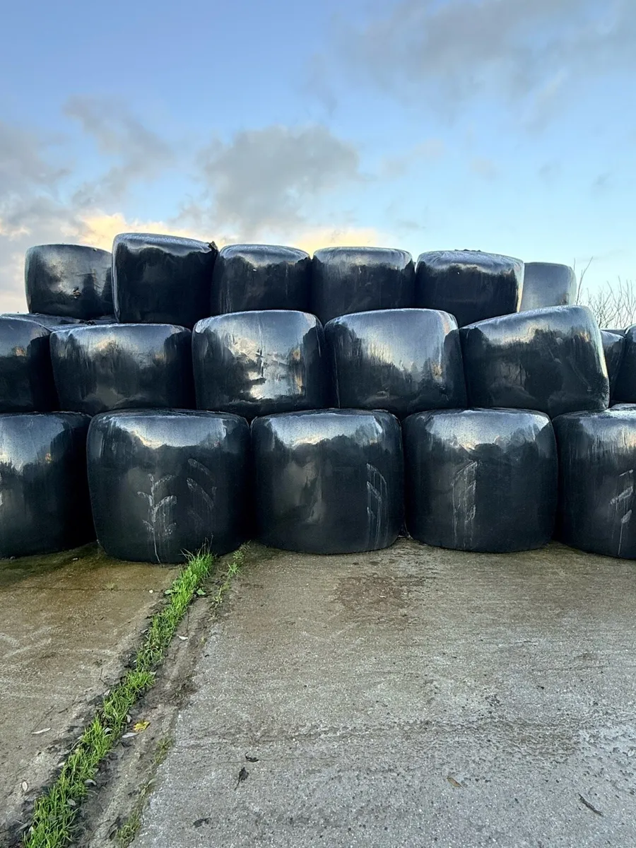 100 Bales Silage
