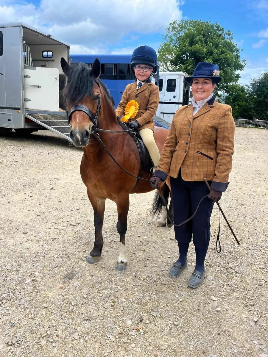 Welsh Section A lead rein pony - Image 1