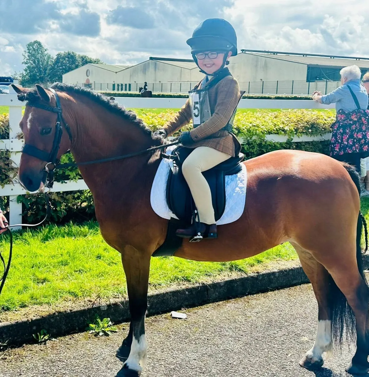 Welsh Section A lead rein pony - Image 4