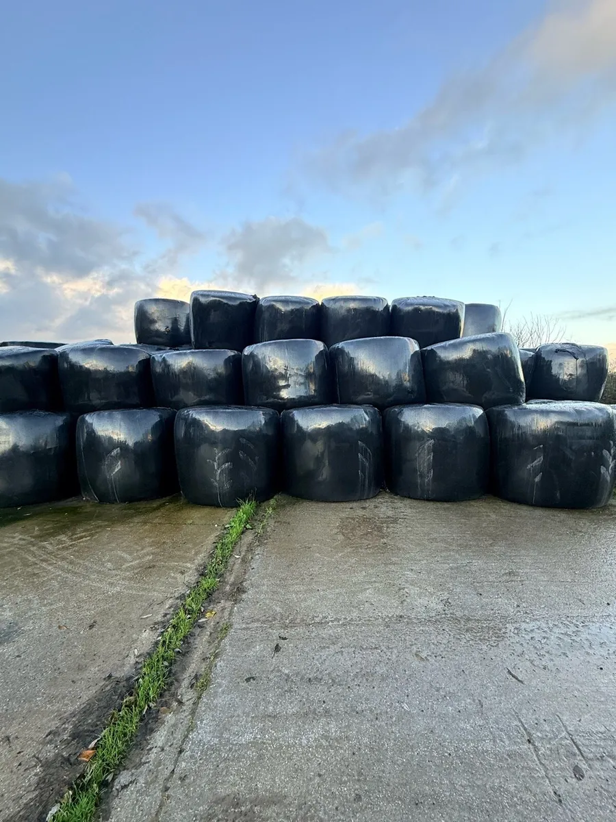 100 Bales Haylage
