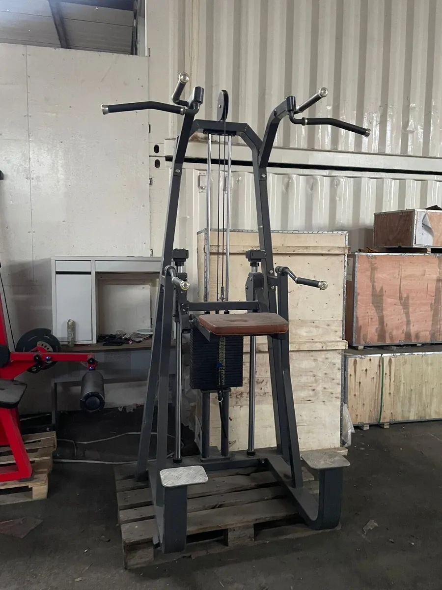 Chin and Dip Assist New