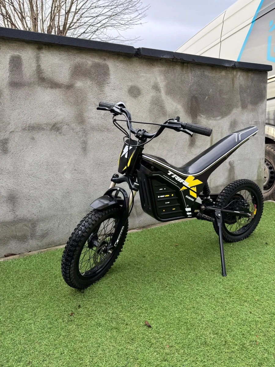 Electric Bike - Image 1