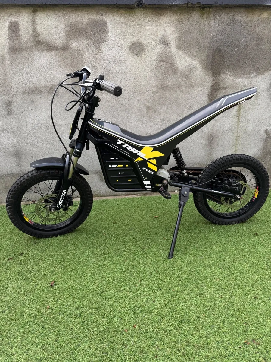 Electric Bike - Image 3