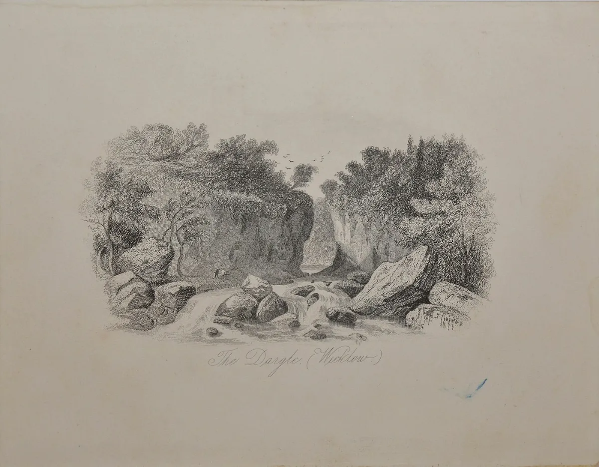 The Dargle Wicklow 1863 Antique Print - Image 2