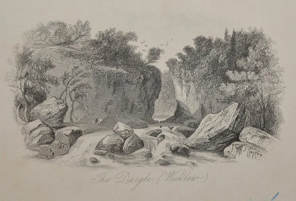 The Dargle Wicklow 1863 Antique Print - Image 1