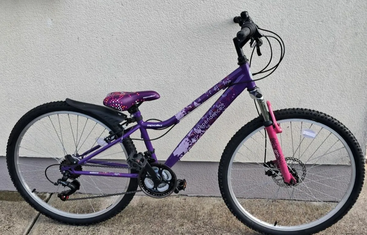 Girls Mountain Bicycle - Image 1