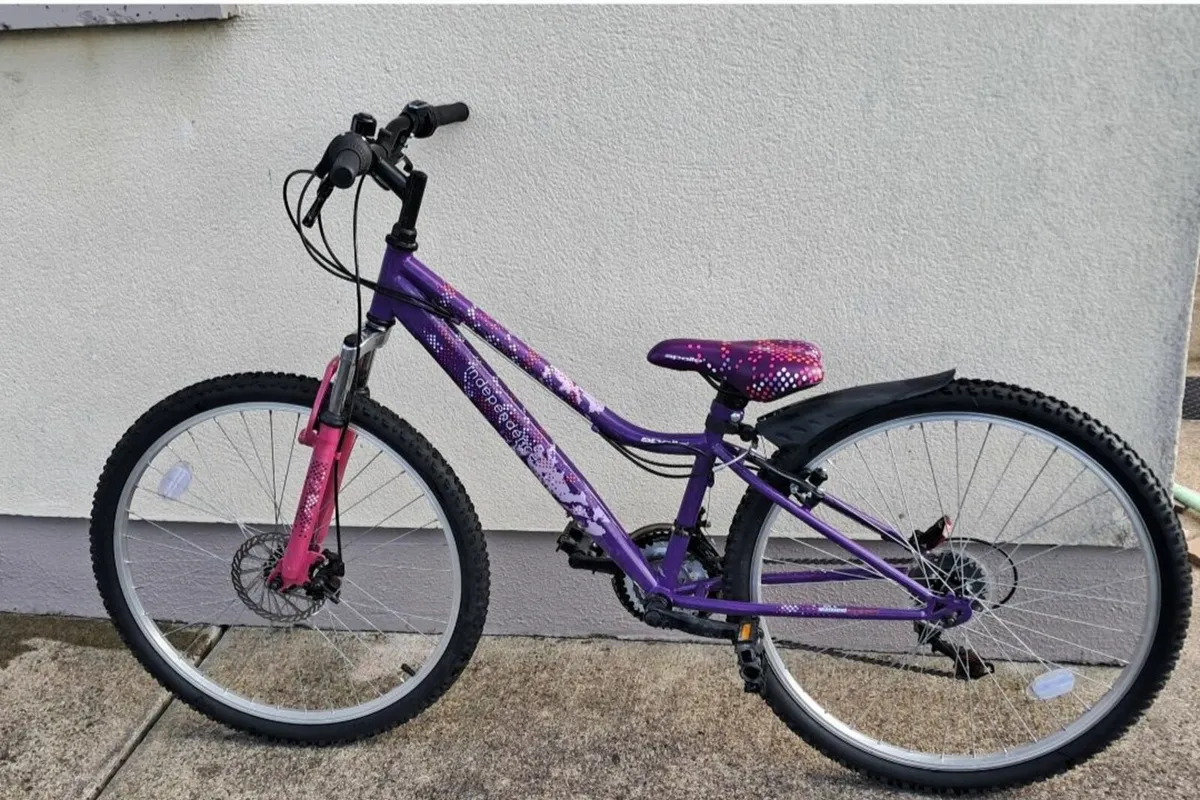 Girls Mountain Bicycle - Image 2