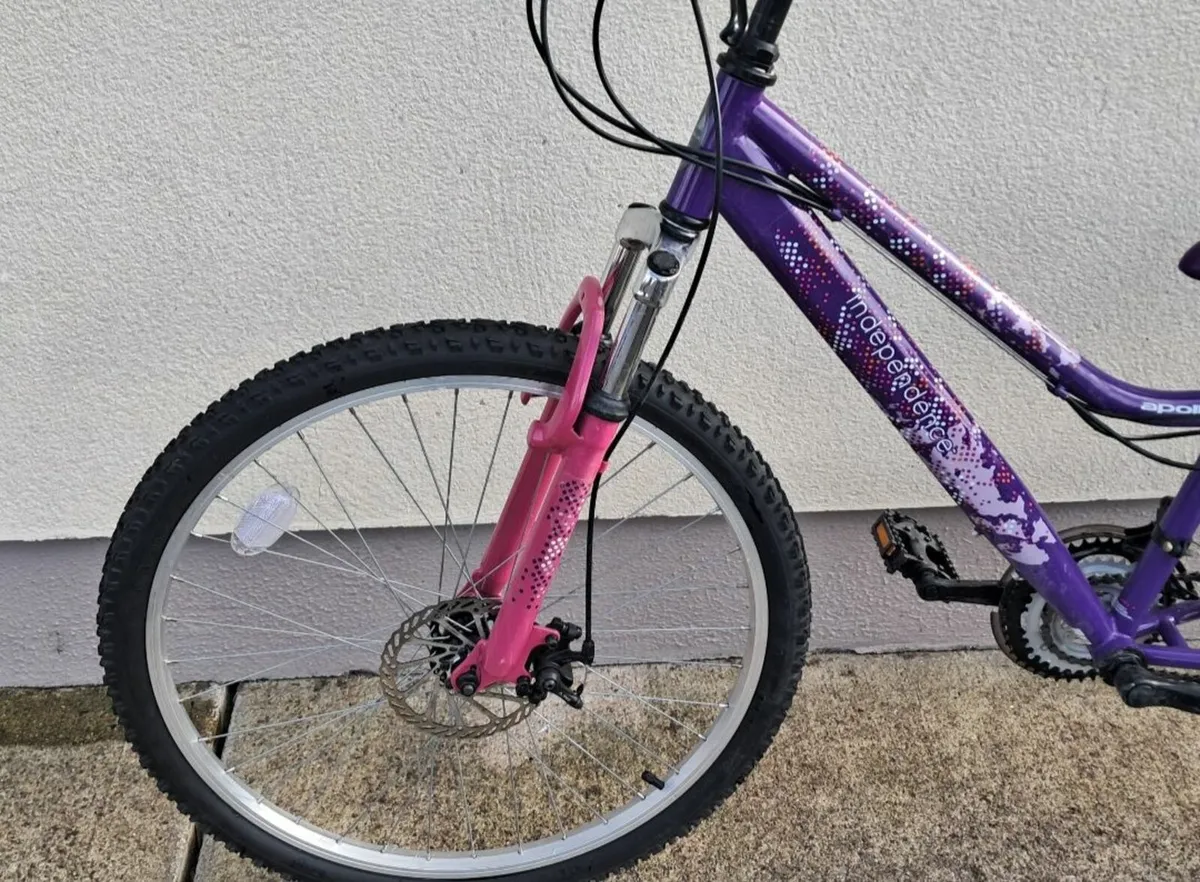 Girls Mountain Bicycle - Image 3
