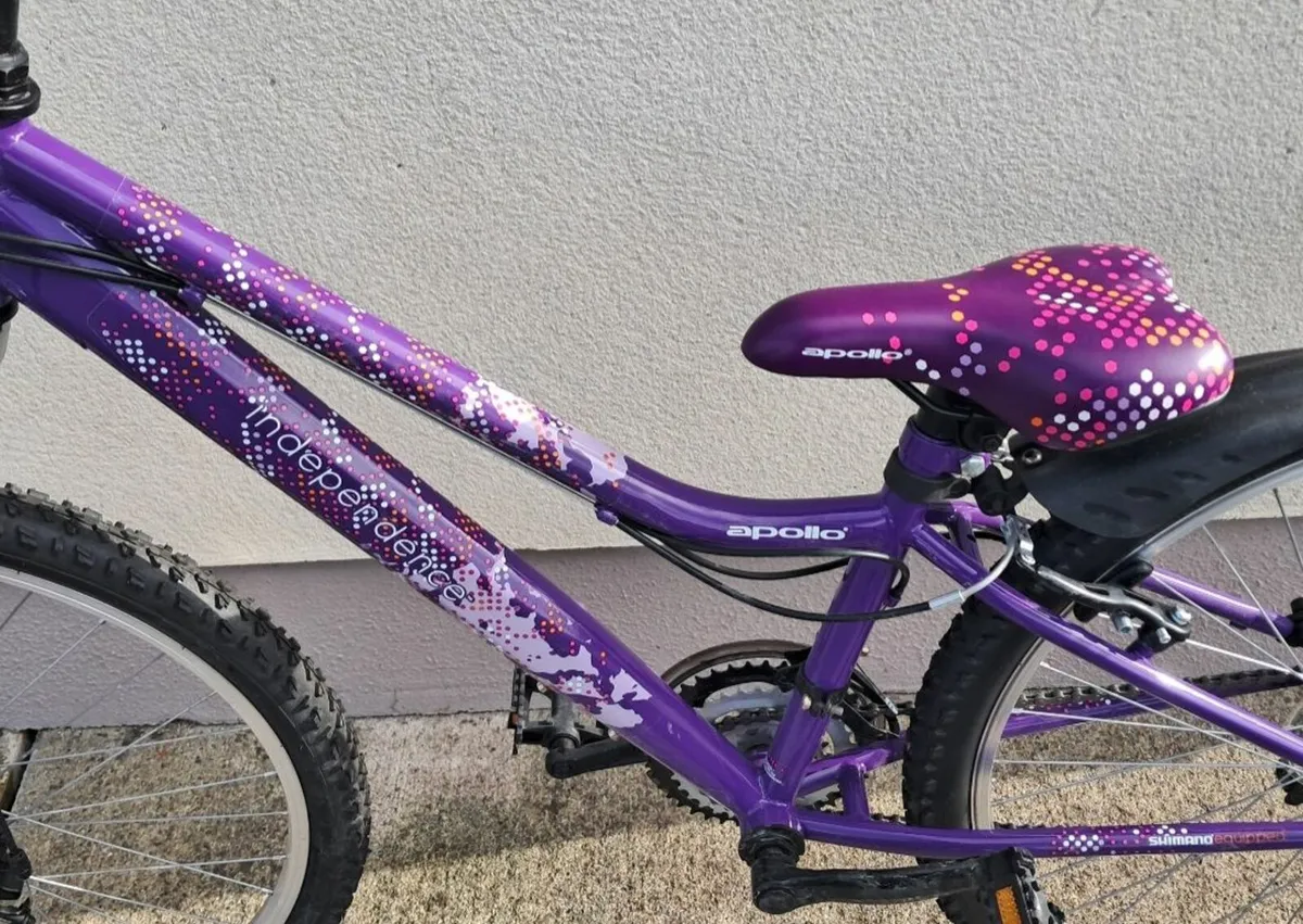 Girls Mountain Bicycle - Image 4
