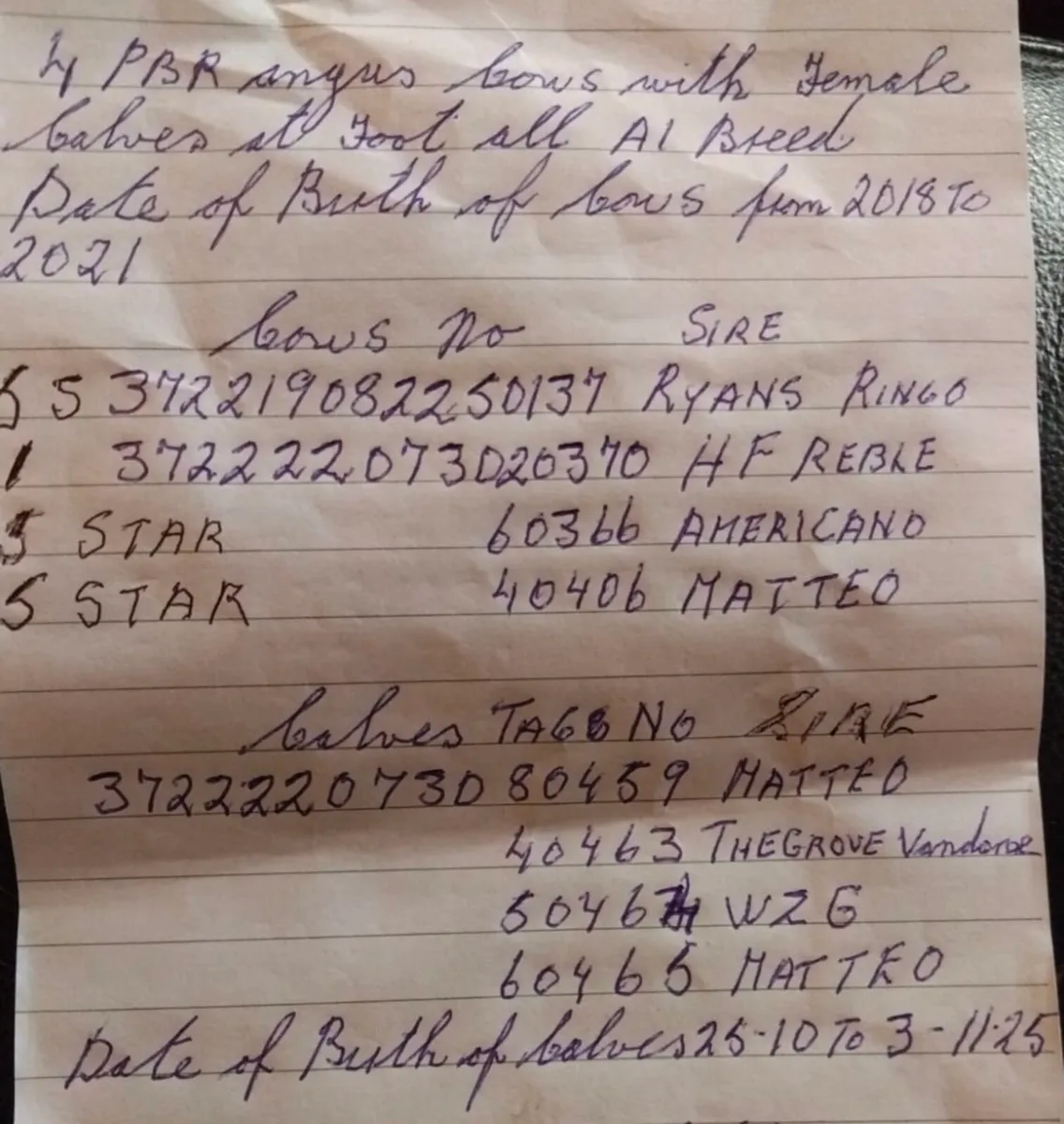 General sale 24th - Image 3