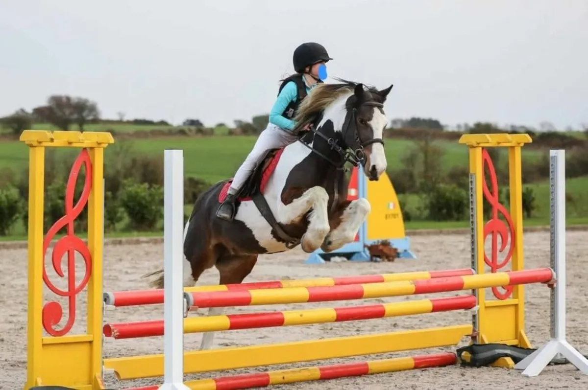 Grade A Sji/pony club Pony - Image 1