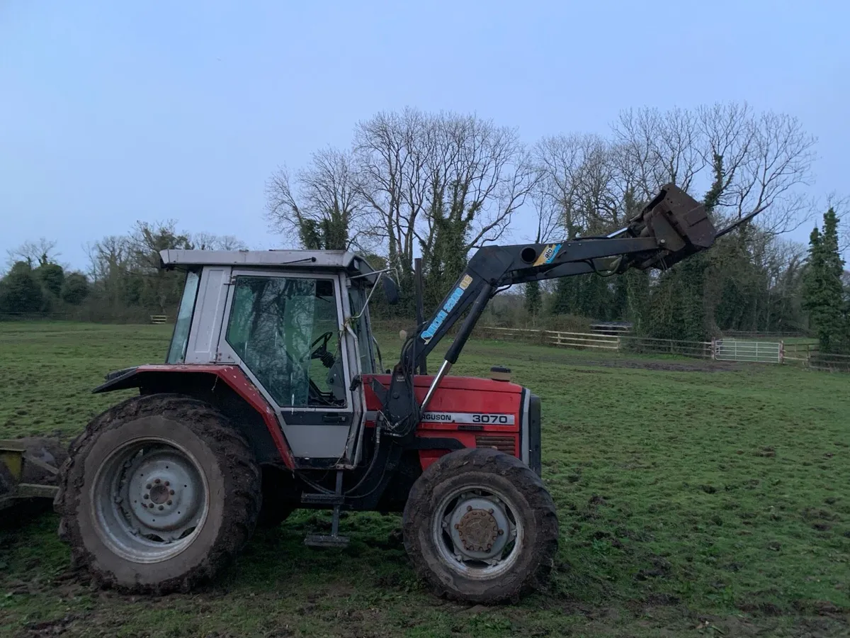 Massey Ferguson 3070 - Image 2
