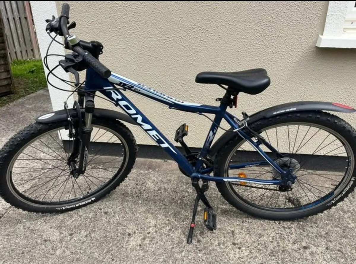 Mountain Bike - Image 1