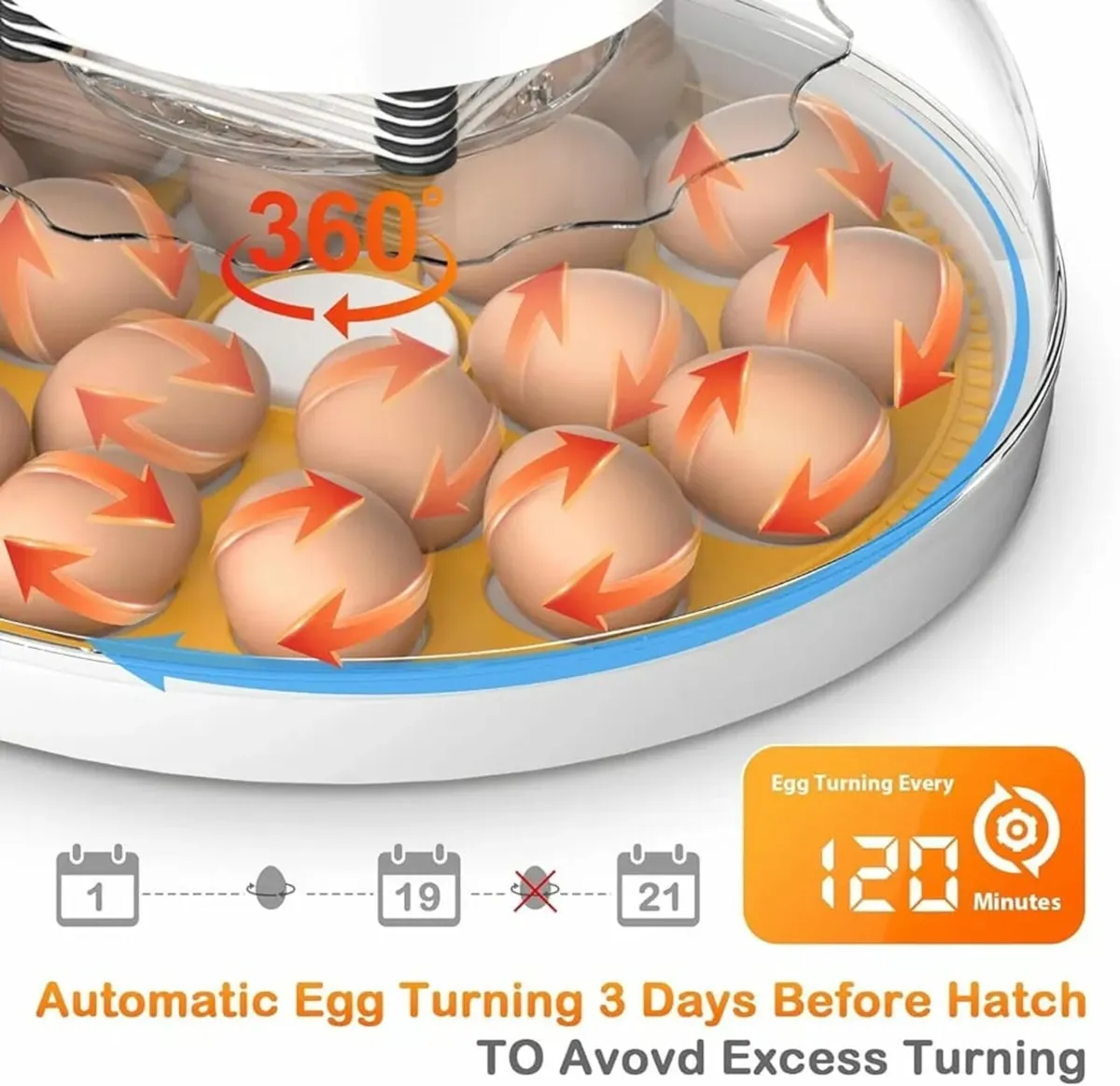 Egg Incubator for Hatching 18-60 egg Full Automati - Image 4