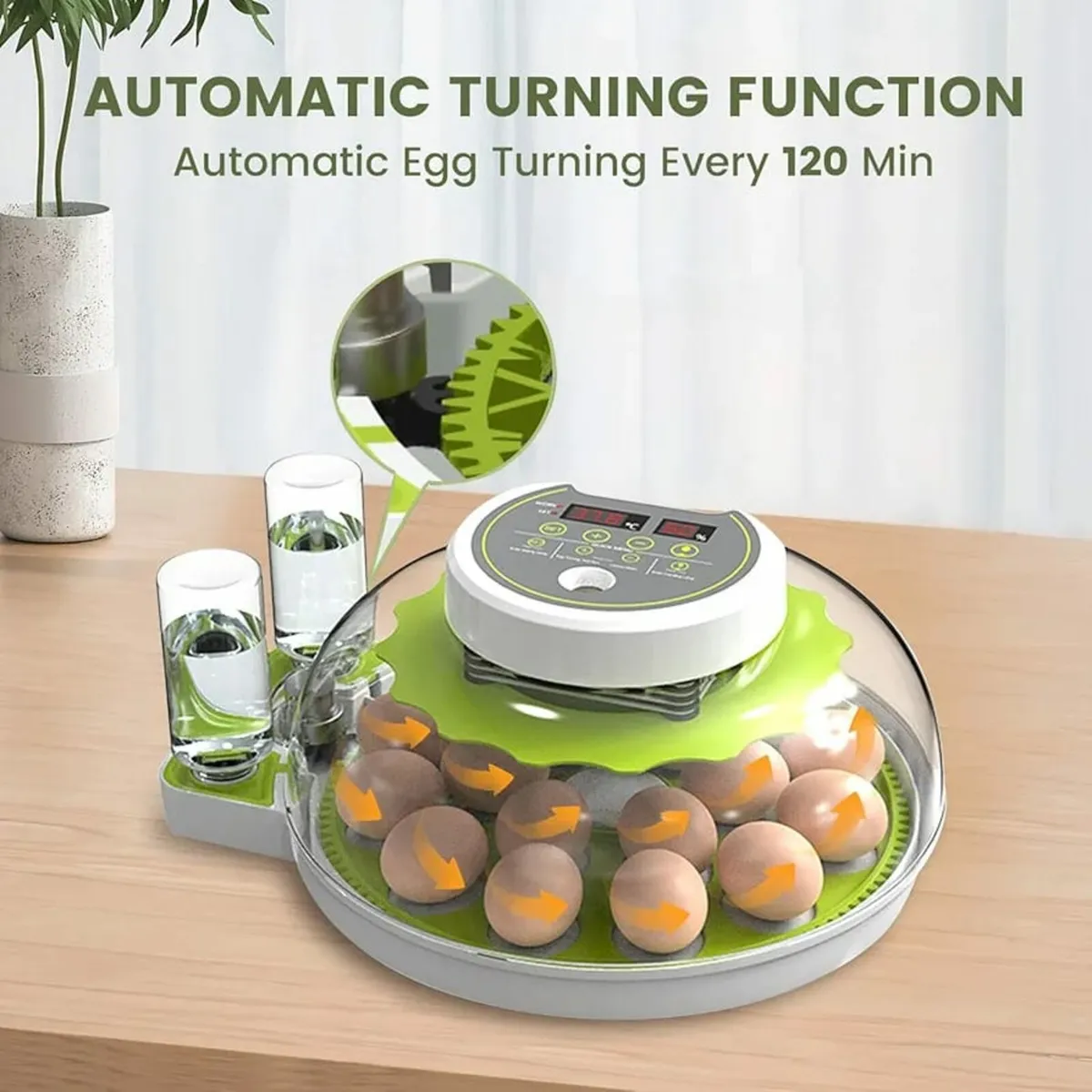 Egg Incubators for Hatching 18-60 Eggs, Digital In - Image 2