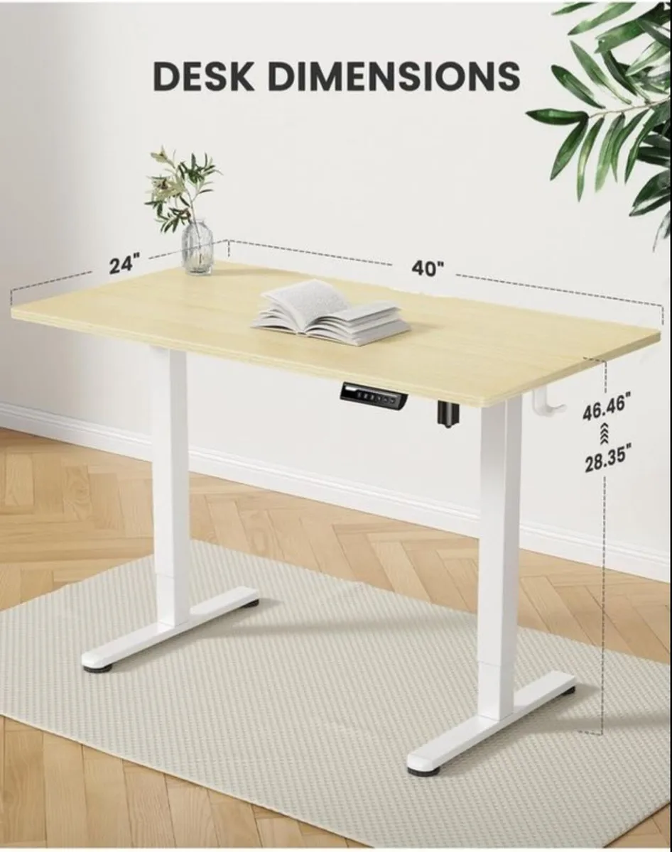 Electric Standing Desk 100x60cm