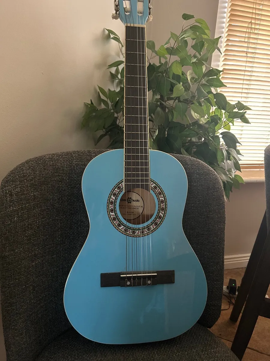 Guitar