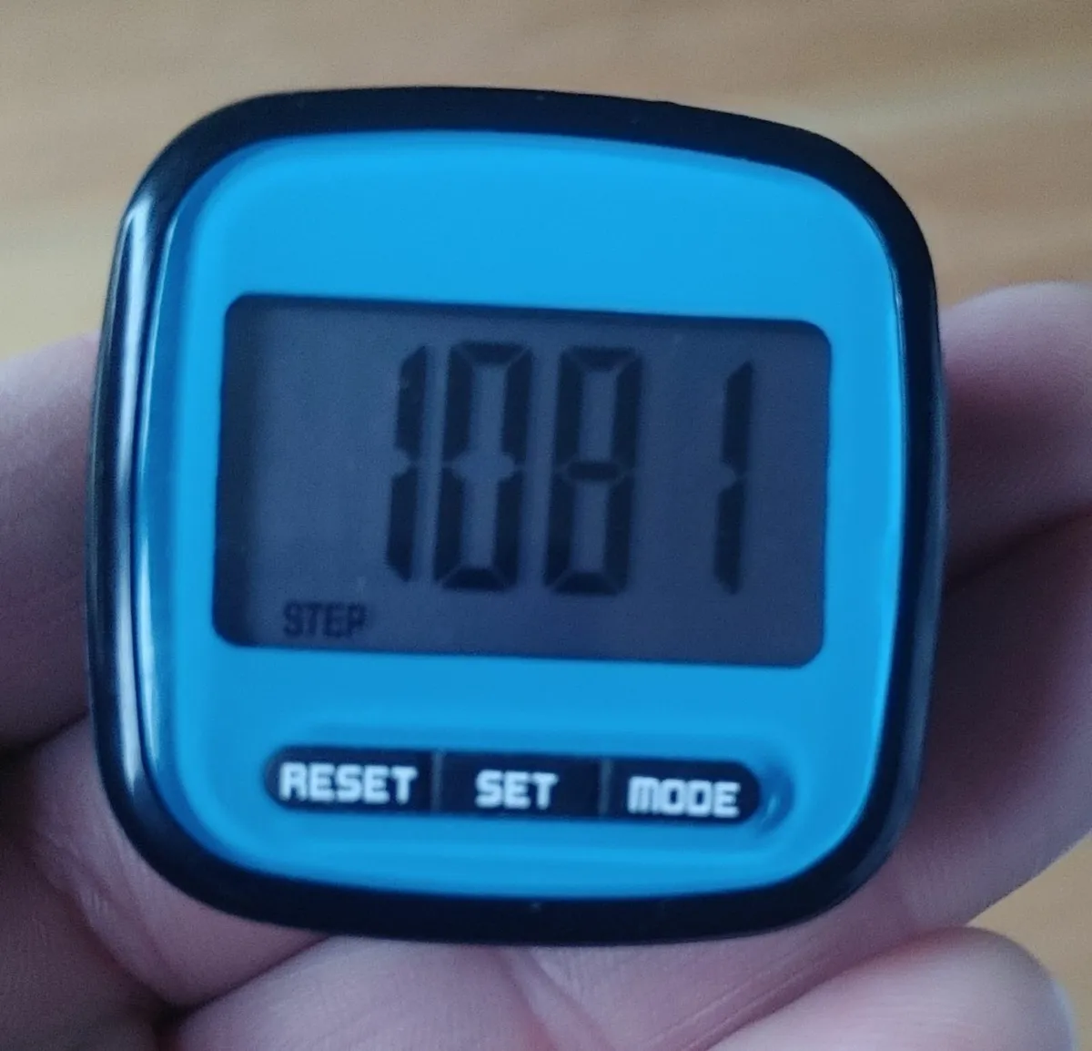 pedometer - Image 1