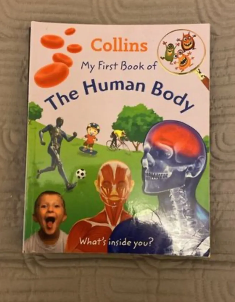 Collins My First Book of (7 books) - Image 3