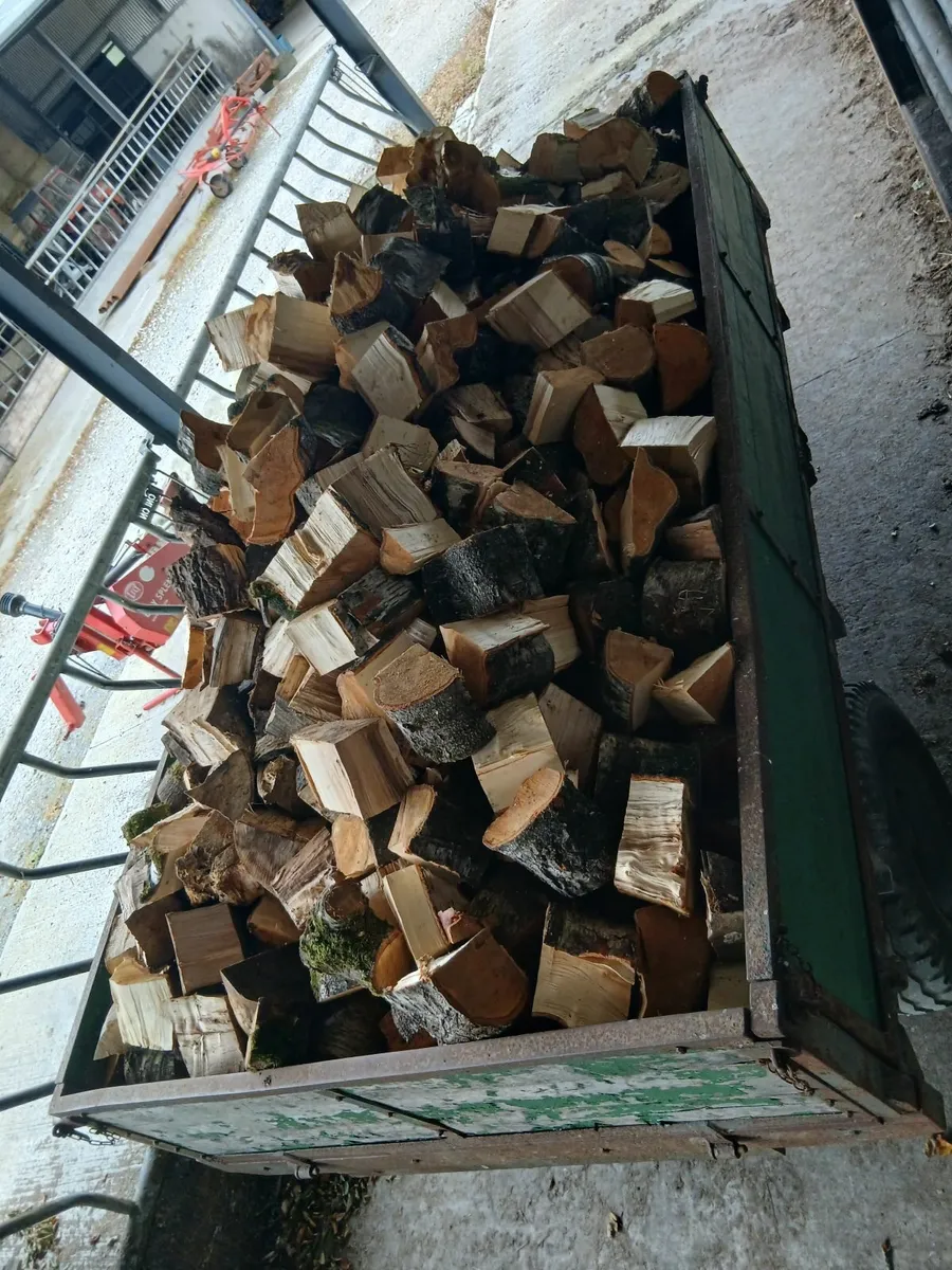 Trailer of timber - Image 2